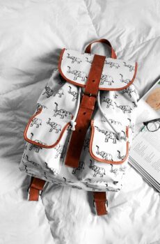 Tellus molestie nuncnon blandit elementum