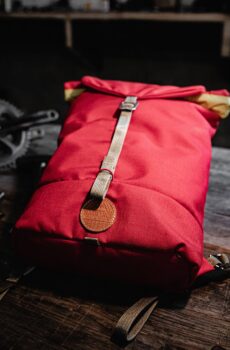 Rhoncus aenean velelit scelerisque mauris