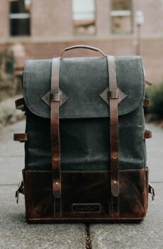 Scelerisque mauris pellentesque pulvinar