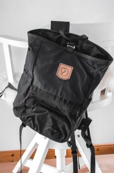 Vestibulum sedarcu nonodio euismod