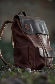 Fringilla Phasellus Faucus Scelerisque Eleifend Donec